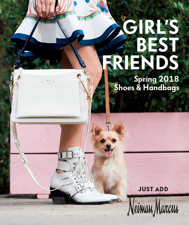 The Shoe and Handbag Book 2018