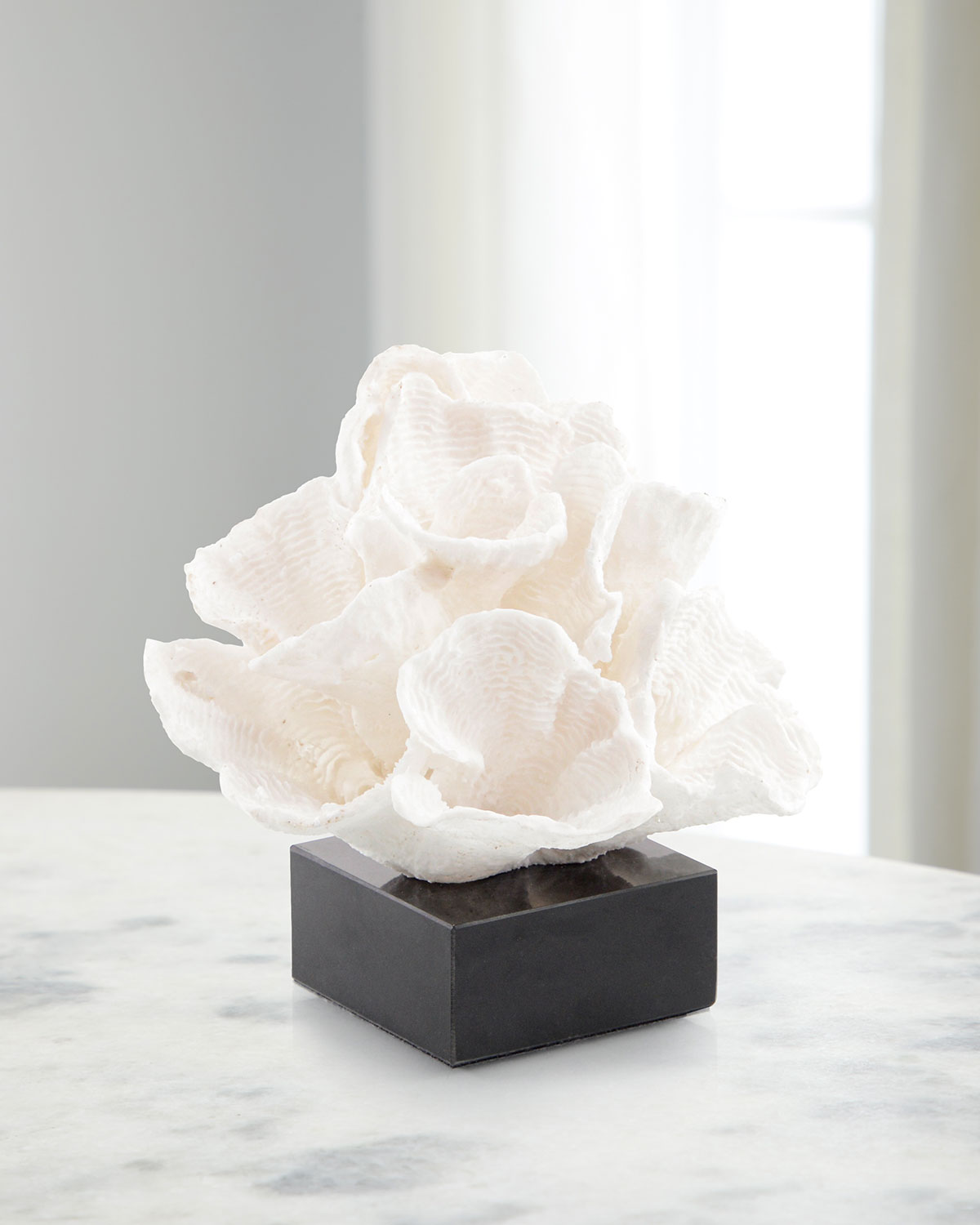 Shop John-richard Collection Foliose Coral On Black Marble Base In White